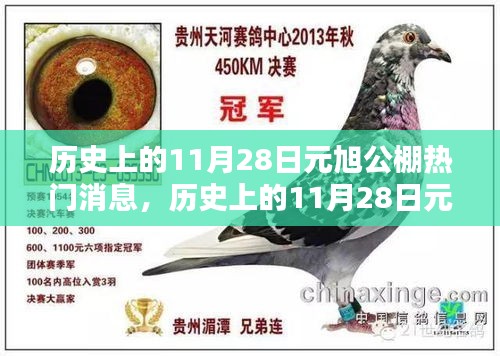 售后保障 第309页