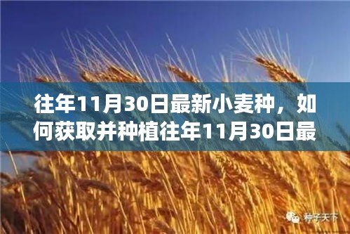 售后保障 第307页