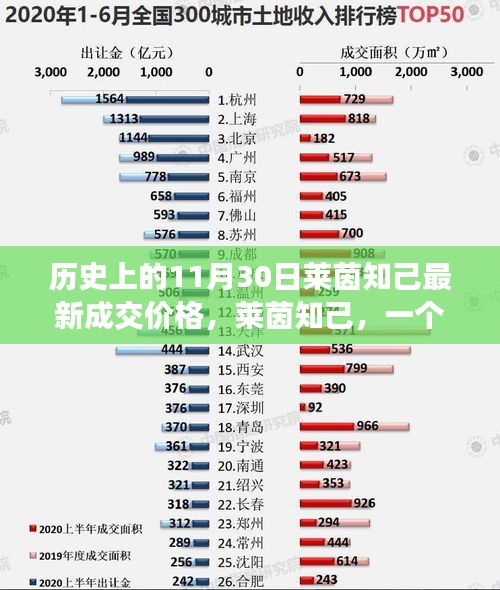 售后保障 第300页