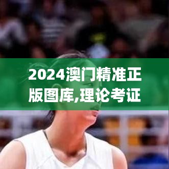 资料大全 第233页