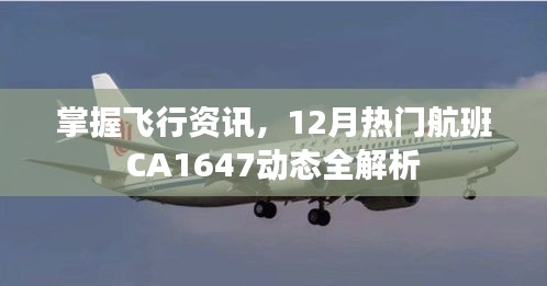 无影无踪 第3页