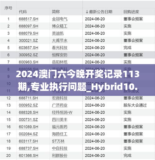 2024澳门六今晚开奖记录113期,专业执行问题_Hybrid10.596