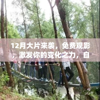 飞箭如蝗 第3页