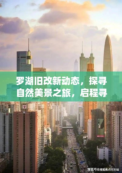 集思广益 第3页