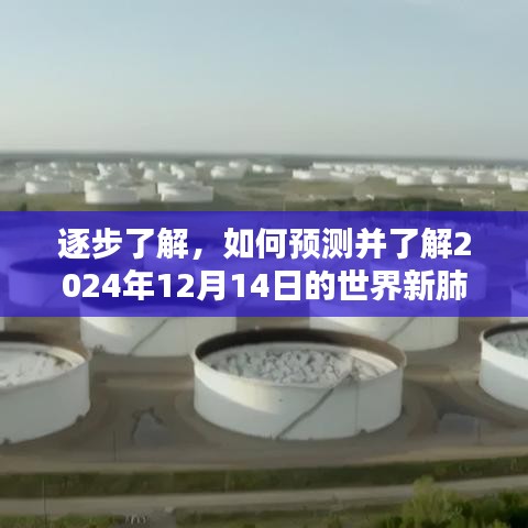 观往知来 第3页