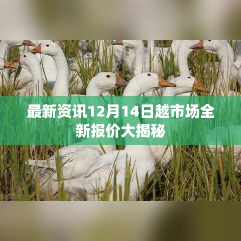 最新资讯