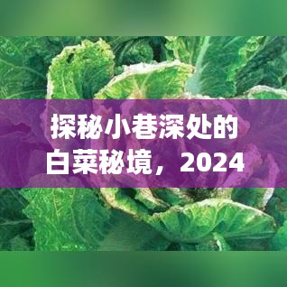 灰飞湮灭 第3页