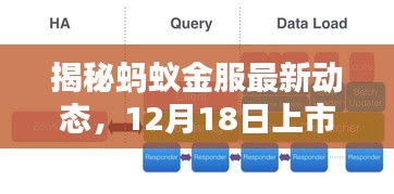 最新动态 第3页