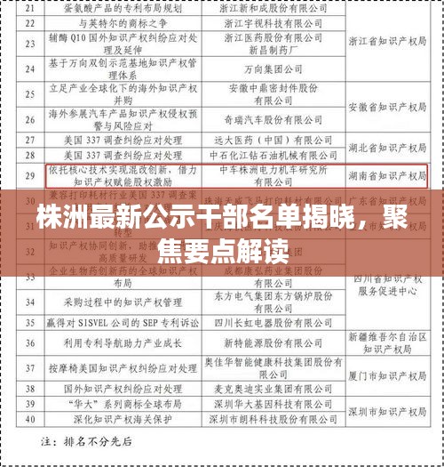 焦点解读