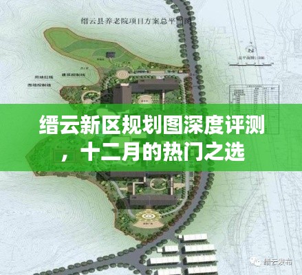 一花独放 第3页