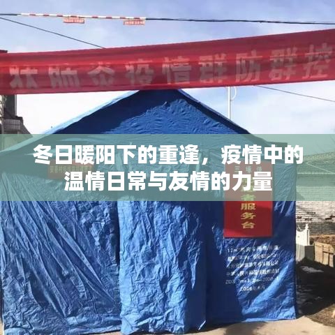 冬日暖阳下的重逢