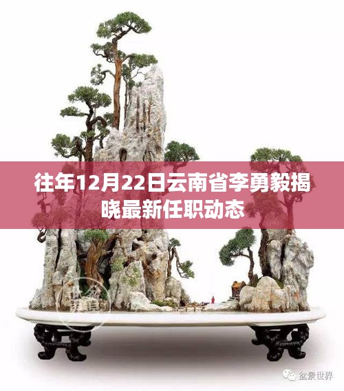 张三李四 第2页