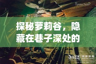 生张熟魏