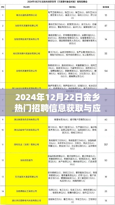 2024年金乡热门职位招聘攻略，获取与应聘全指南（适合初学者与进阶用户）