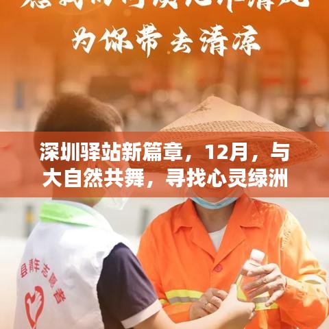与自然共舞