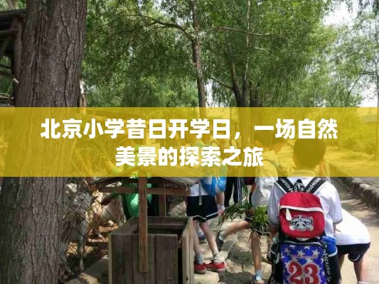 探索