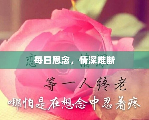 木乾鸟栖 第2页