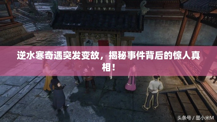 神采飞扬 第2页