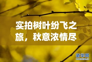 七贵五侯 第2页