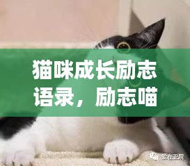 推襟送抱 第2页