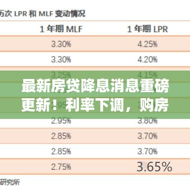 一花独放 第2页