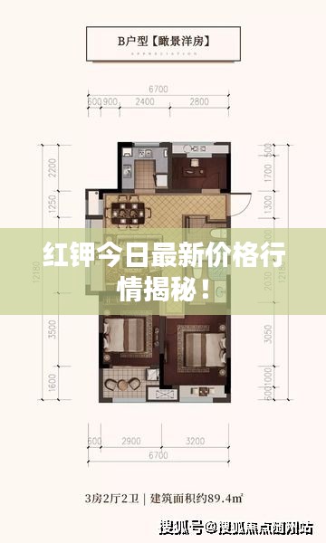 贵戚之卿 第2页