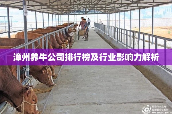小鸟伊人