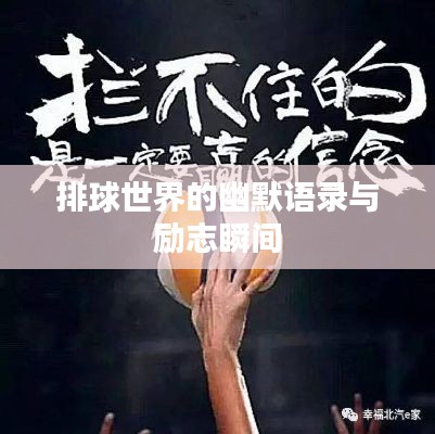 关于我们 第19页