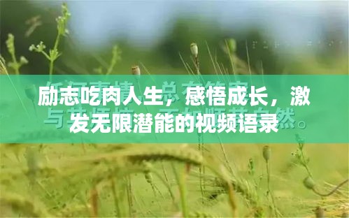 关于我们 第13页