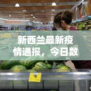 施工案例 第8页