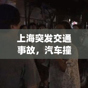 鸟啼花怨