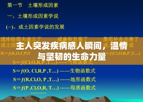 下马看花
