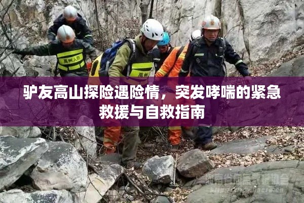 关于我们 第4页