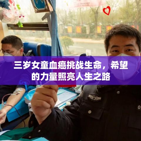 资料大全 第3页