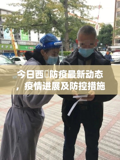 今日西滘防疫最新动态，疫情进展及防控措施全解析