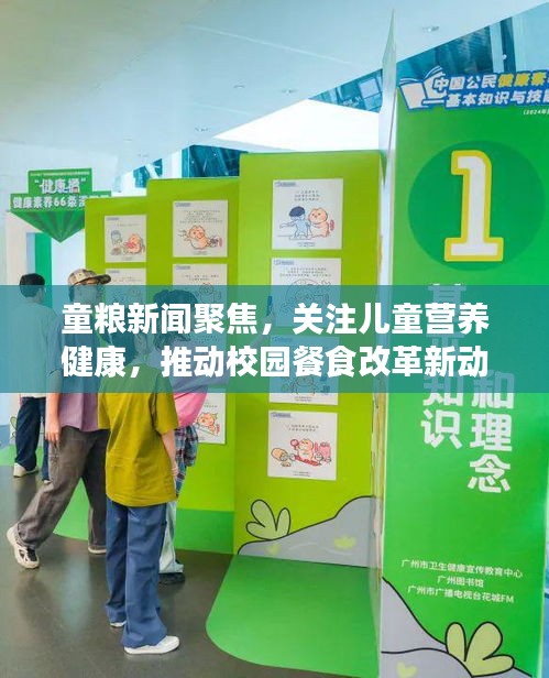 童粮新闻聚焦，关注儿童营养健康，推动校园餐食改革新动向