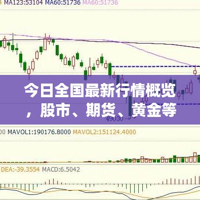 今日全国最新行情概览，股市、期货、黄金等投资市场走势分析