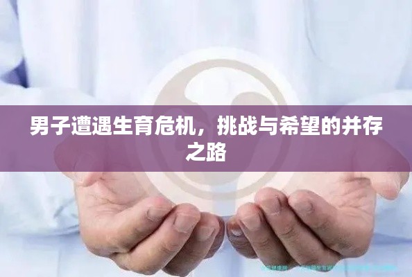 男子遭遇生育危机，挑战与希望的并存之路