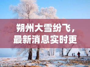 朔州大雪纷飞，最新消息实时更新