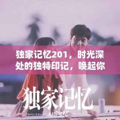 独家记忆201，时光深处的独特印记，唤起你的回忆