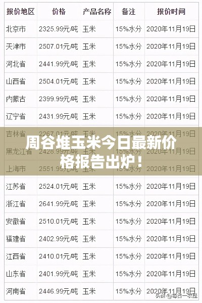 周谷堆玉米今日最新价格报告出炉！