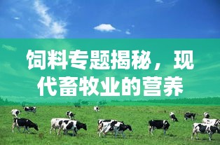 饲料专题揭秘，现代畜牧业的营养之源探索