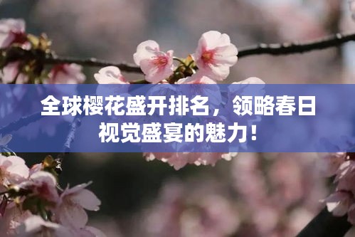 全球樱花盛开排名，领略春日视觉盛宴的魅力！