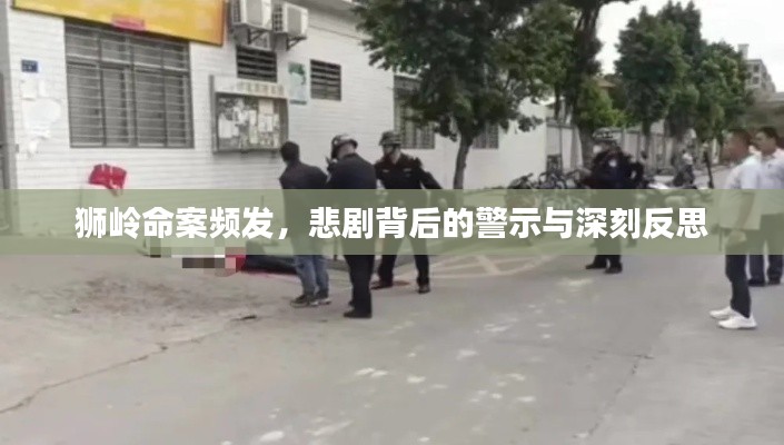 狮岭命案频发，悲剧背后的警示与深刻反思