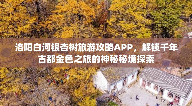 洛阳白河银杏树旅游攻略APP，解锁千年古都金色之旅的神秘秘境探索