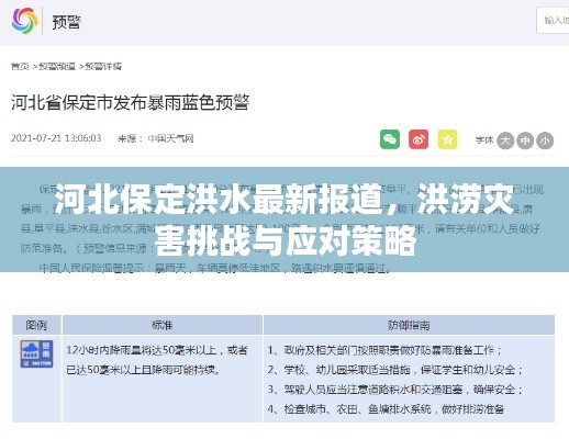 河北保定洪水最新报道，洪涝灾害挑战与应对策略