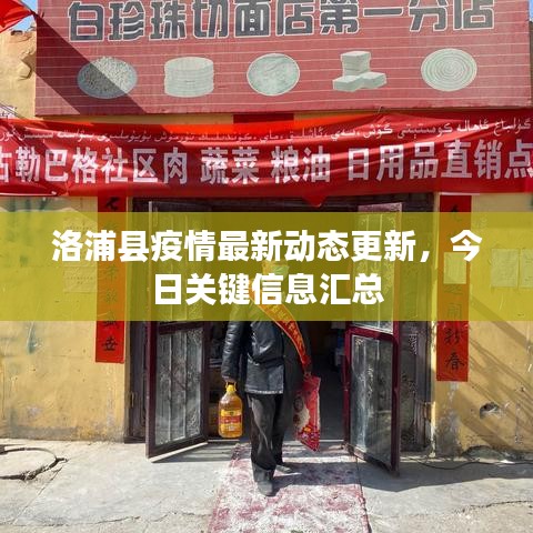 洛浦县疫情最新动态更新，今日关键信息汇总