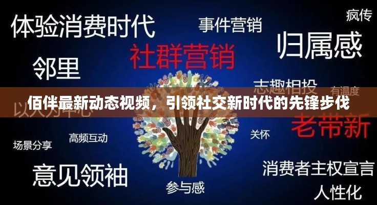 佰伴最新动态视频，引领社交新时代的先锋步伐