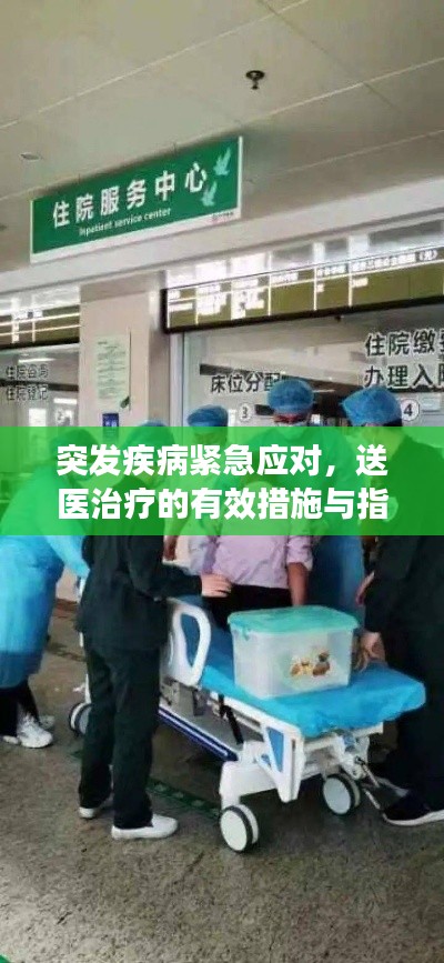 突发疾病紧急应对，送医治疗的有效措施与指南