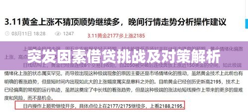 突发因素借贷挑战及对策解析
